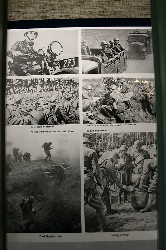 a 196